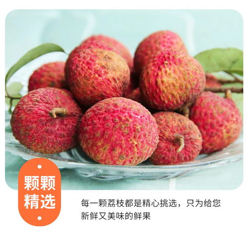 高州白糖罌荔枝 當季鮮果，滋味直達——5斤裝整箱批發品鑒